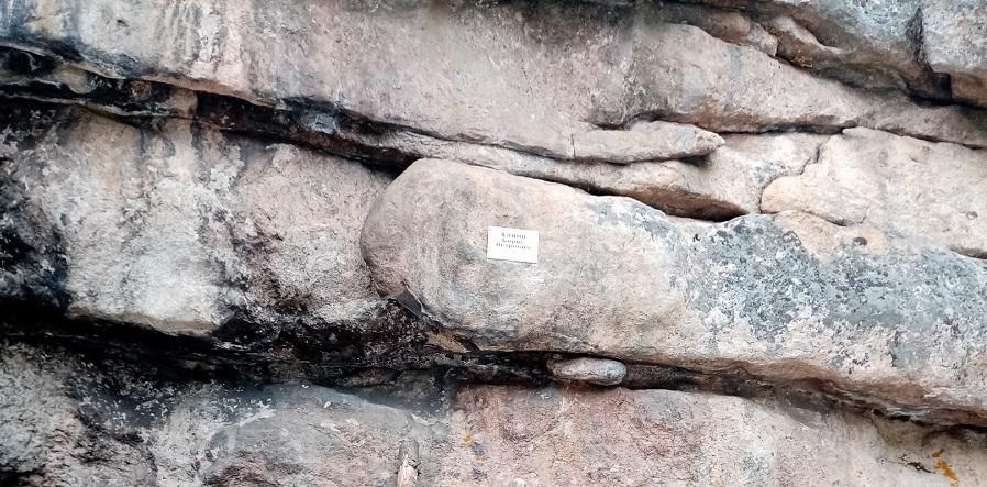 На скальнике Вороний камень установили памятную табличку его первооткрывателю