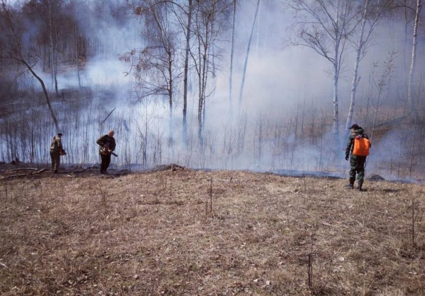 За выходные в Иркутской области произошло пять лесных пожаров