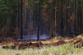 10 природных пожаров действуют в Приангарье на утро 23 мая