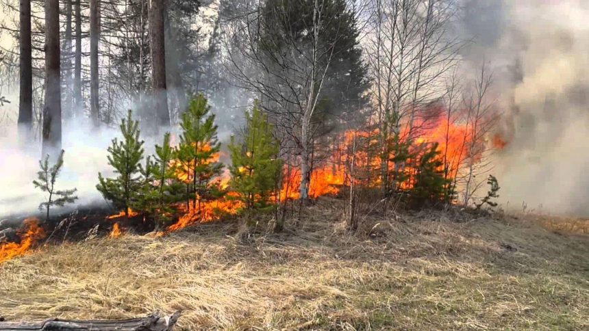 13 лесных пожаров еще действует в Приангарье
