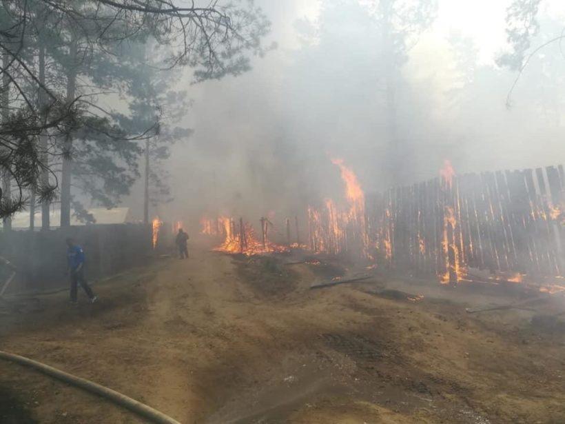 500 гектаров леса сгорело в Усольском районе с начала 2019 года