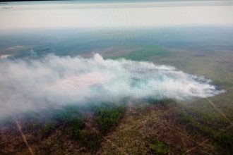 68 лесных пожаров произошло в Приангарье с 1 по 5 мая