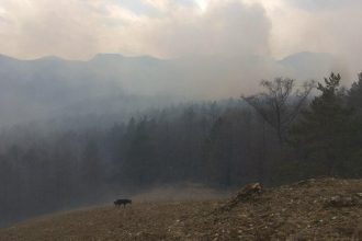 Большое Голоустное в дыму. Фото и видео с места