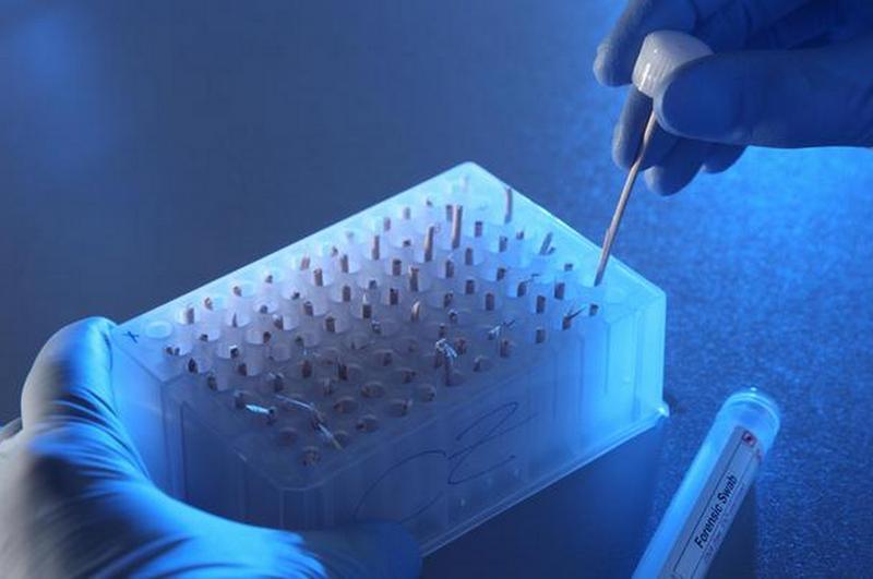 ИГУ открыл специальность «Биоинженерия и биоинформатика»