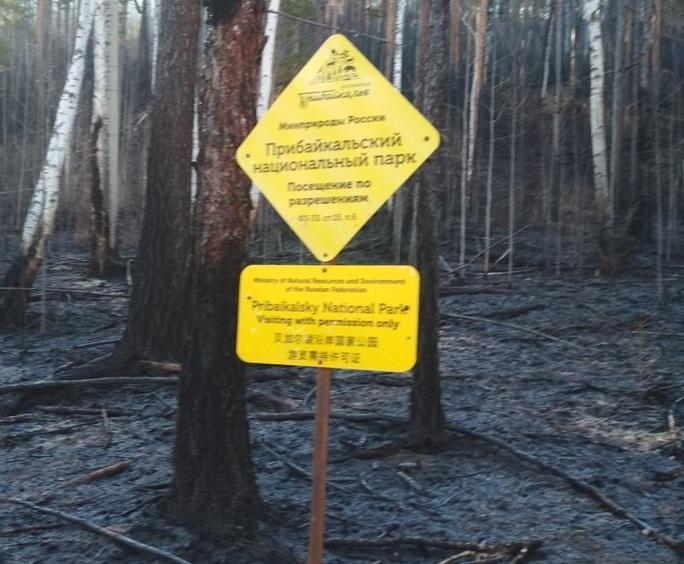 Лесной пожар в Прибайкальском национальном парке ликвидирован