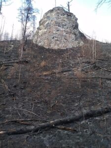 Лесной пожар в Прибайкальском национальном парке ликвидирован