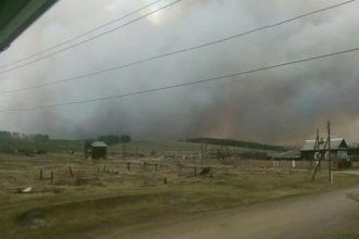 Людей просят помочь тушить пожары в Горохово и в Хомутово