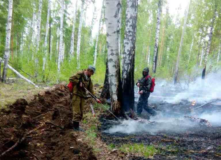 На утро 16 мая в Иркутской области зарегистрирован один пожар в локализованном состоянии
