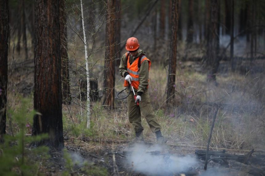 Один действующий и три локализованных пожара зарегистрированы в Иркутской области на утро 14 мая