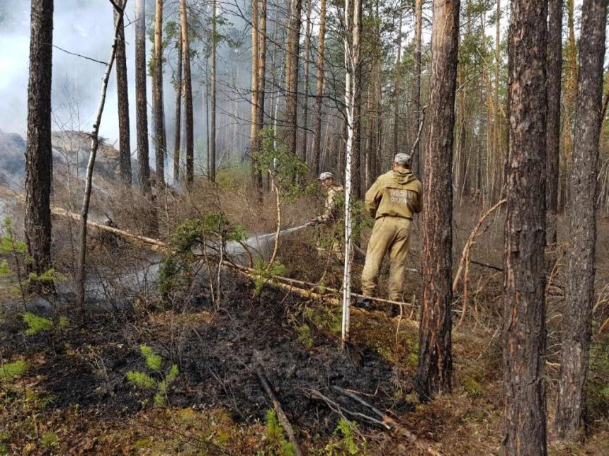 Один природный пожар остается действовать в Иркутском районе на утро 24 мая