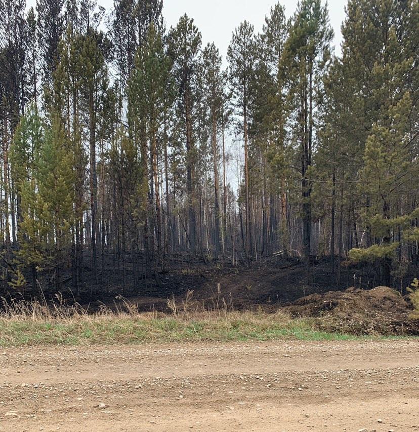 Площадь пожаров в Приангарье снизилась к вечеру 9 мая с 16 до 6 тысяч гектаров