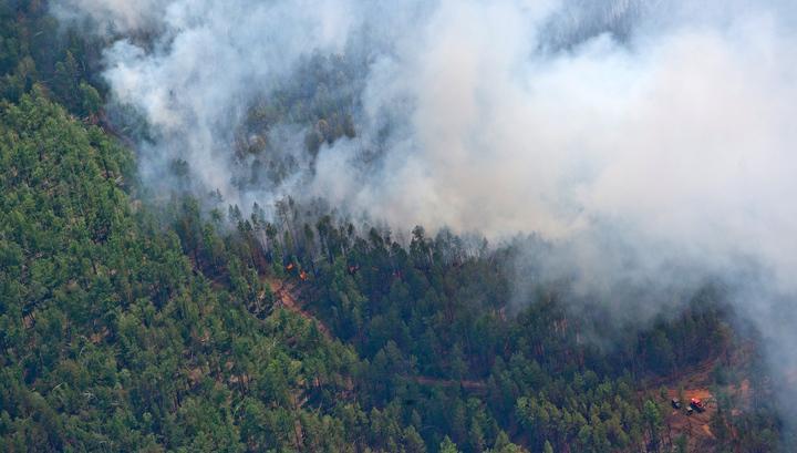 По фактам майских лесных пожаров проводятся доследственные проверки