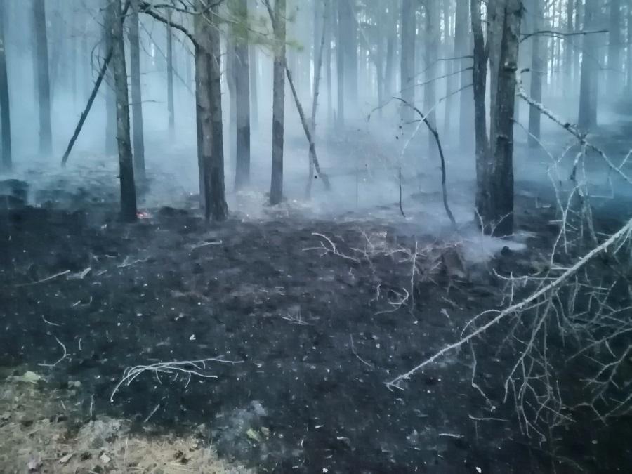 Потушили вместе. Как добровольцы помогали тушить пожары в Приангарье
