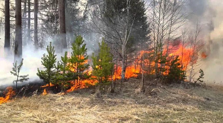 Пожар действует на территории Прибайкальского национального парка