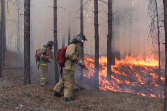 В части поселений Иркутского района наблюдается сильное задымление из-за лесных пожаров