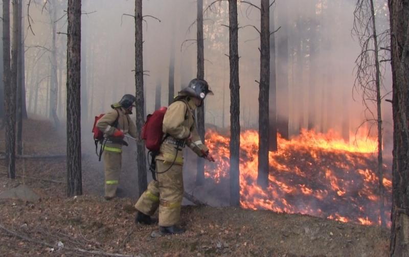 В части поселений Иркутского района наблюдается сильное задымление из-за лесных пожаров