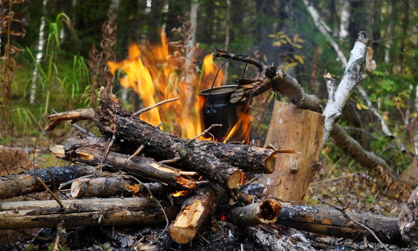 В России хотят увеличить штрафы за розжиг огня в лесах во время ЧС