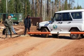 Введен запрет на посещение лесов в 18 лесничествах Иркутской области