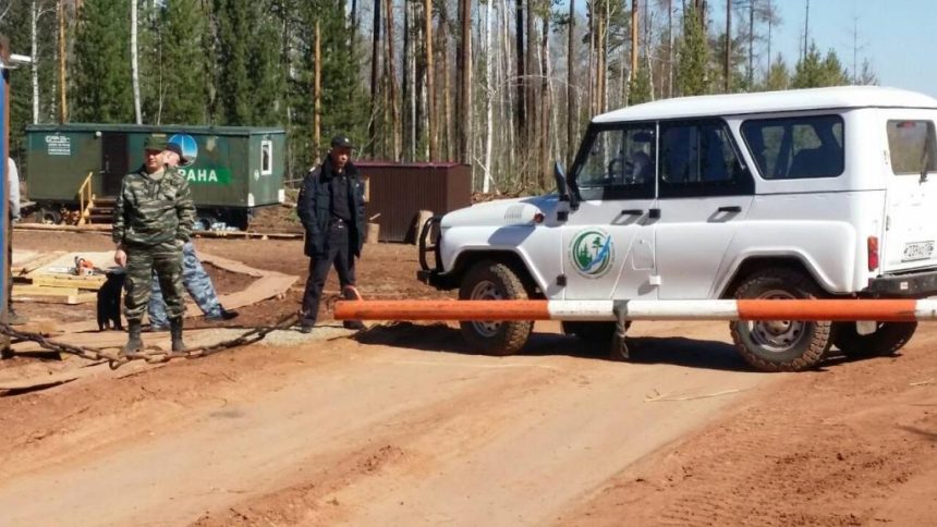 Введен запрет на посещение лесов в 18 лесничествах Иркутской области