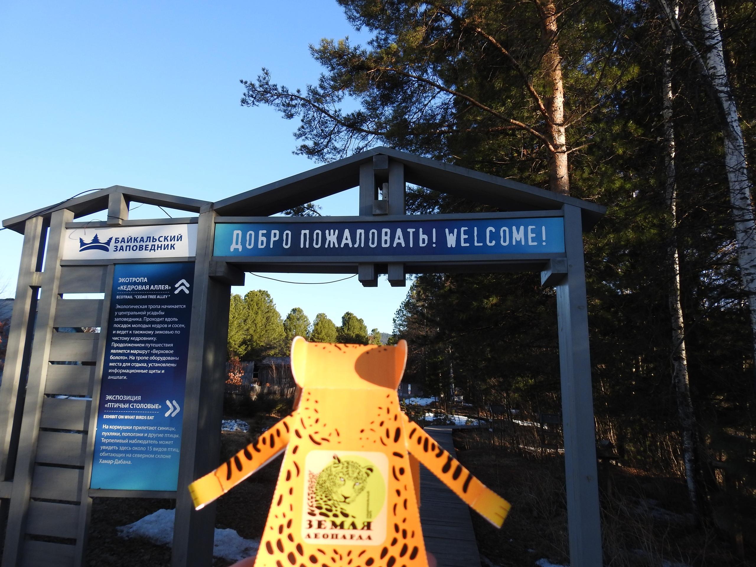 "Заповедное путешествие леопарда" на Байкале