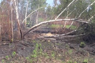 12 очагов возгорания торфа обнаружили в Усольском районе. Видео