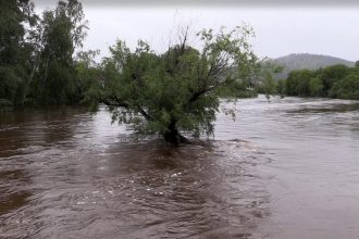 Детский лагерь эвакуировали с берега реки Уды из-за возможного резкого повышения уровня воды