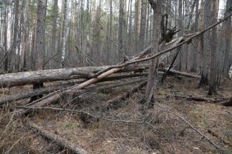 Губернатор предложил депутатам Заксобрания съездить в Туколонь