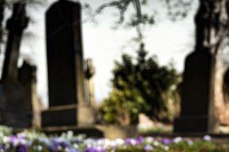 Неизвестный мужчина стрелял в смотрительницу кладбища в Ангарске