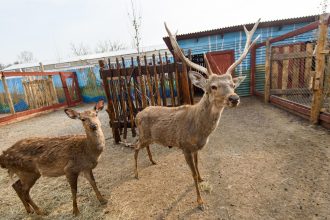 Новую экскурсию открыли сотрудники Иркутского зоосада