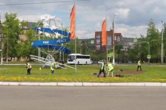 В Братске этим летом высадят 175 000 цветов
