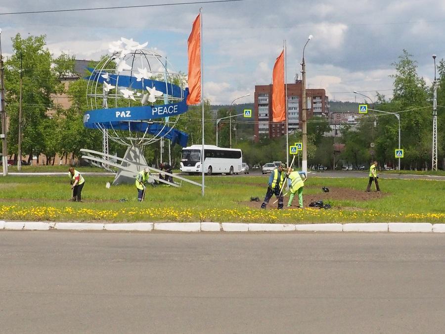 В Братске этим летом высадят 175 000 цветов