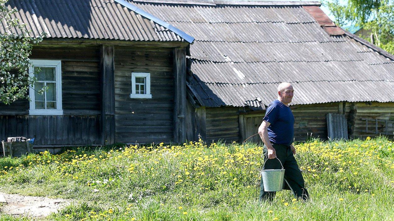 Дачная амнистия