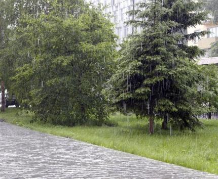Сильные дожди и грозы ожидаются на территории Иркутской области в ближайшие сутки