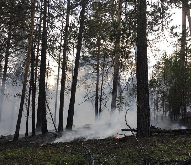В Сибири горят миллионы гектаров леса. Люди жалуются на дым и не могут вылететь из районов