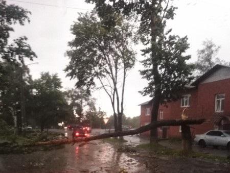 В Слюдянке попадали деревья и фонарные столбы от сильного ветра и дождя 19 июля