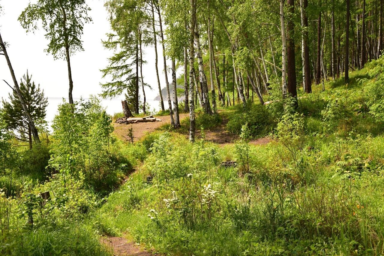 Волонтеры приступили к благоустройству Большой Байкальской Тропы