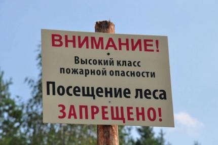 Высокие классы пожарной опасности действуют в лесах Приангарья