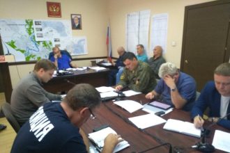 Бездомных собак в зоне ЧС на территории Тулуна поручили отловить региональной службе ветеринарии до 1 сентября