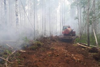 Лесопожарная обстановка в Иркутской области на 8 августа