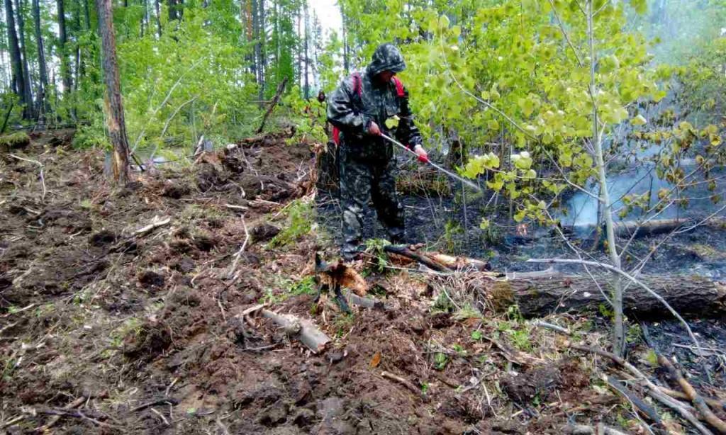 Ликвидация лесных пожаров в Приангарье. Ситуация на 12 августа