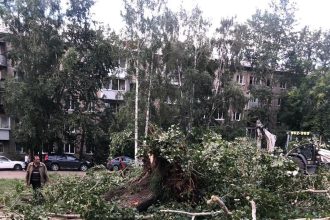 Сквер "Южный" обустраивают в микрорайоне Юбилейный в Иркутске