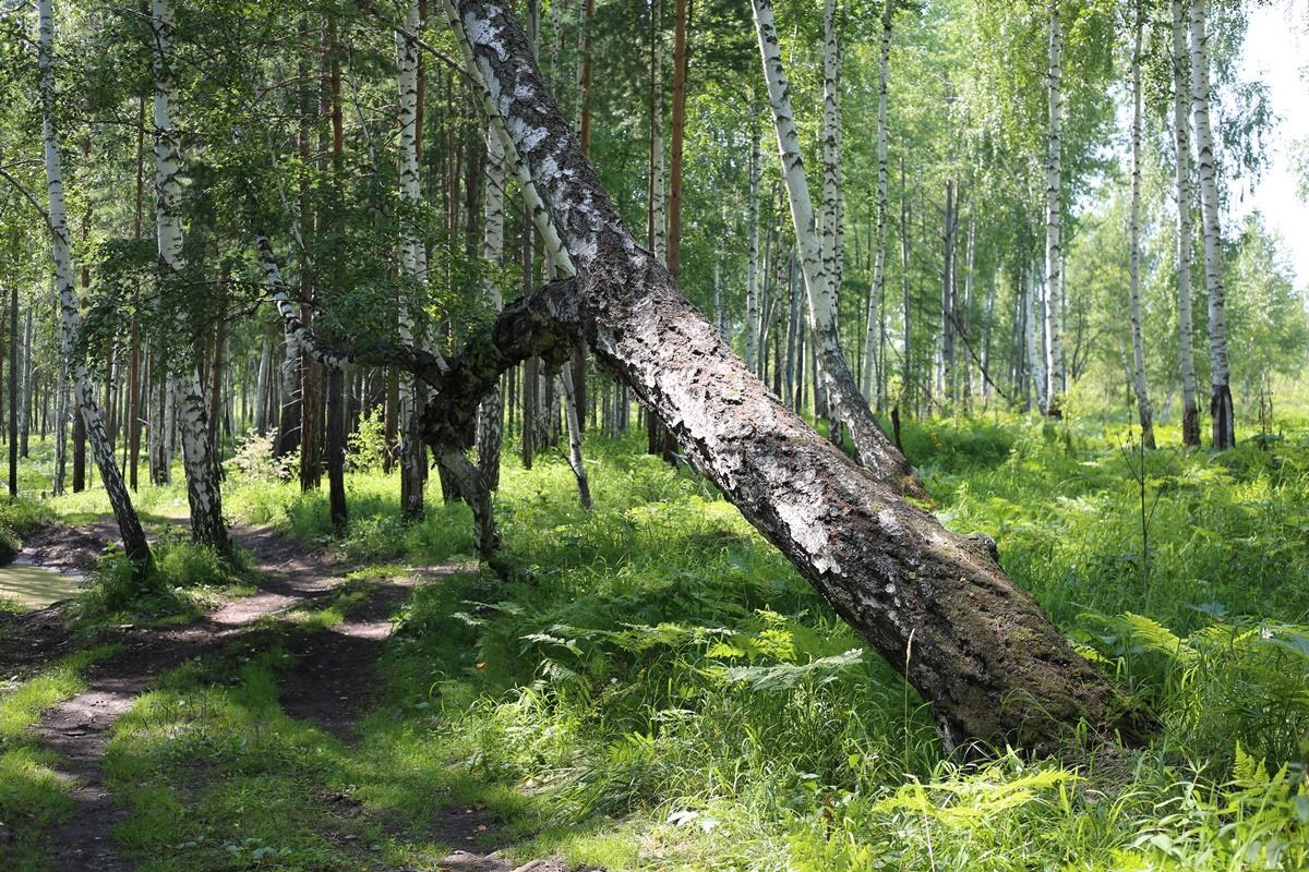 Уковский водопад. На расстоянии "одной ночи" от Иркутска