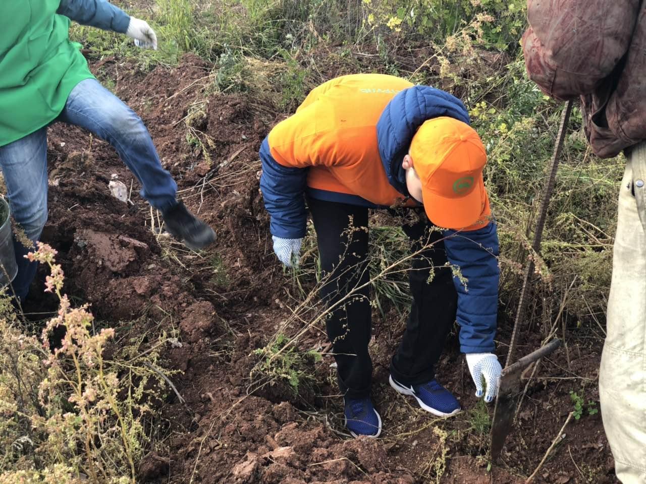 Четвероклассники в Братске высадили 600 саженцев в районе Порожского кольца