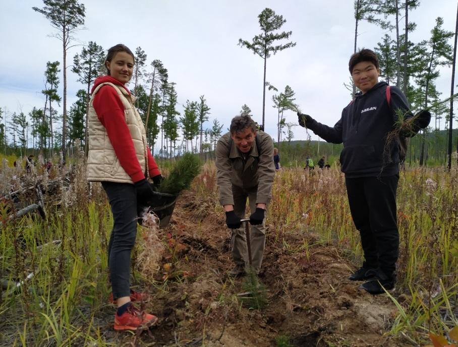 Молодые сосны высадили на острове Ольхон