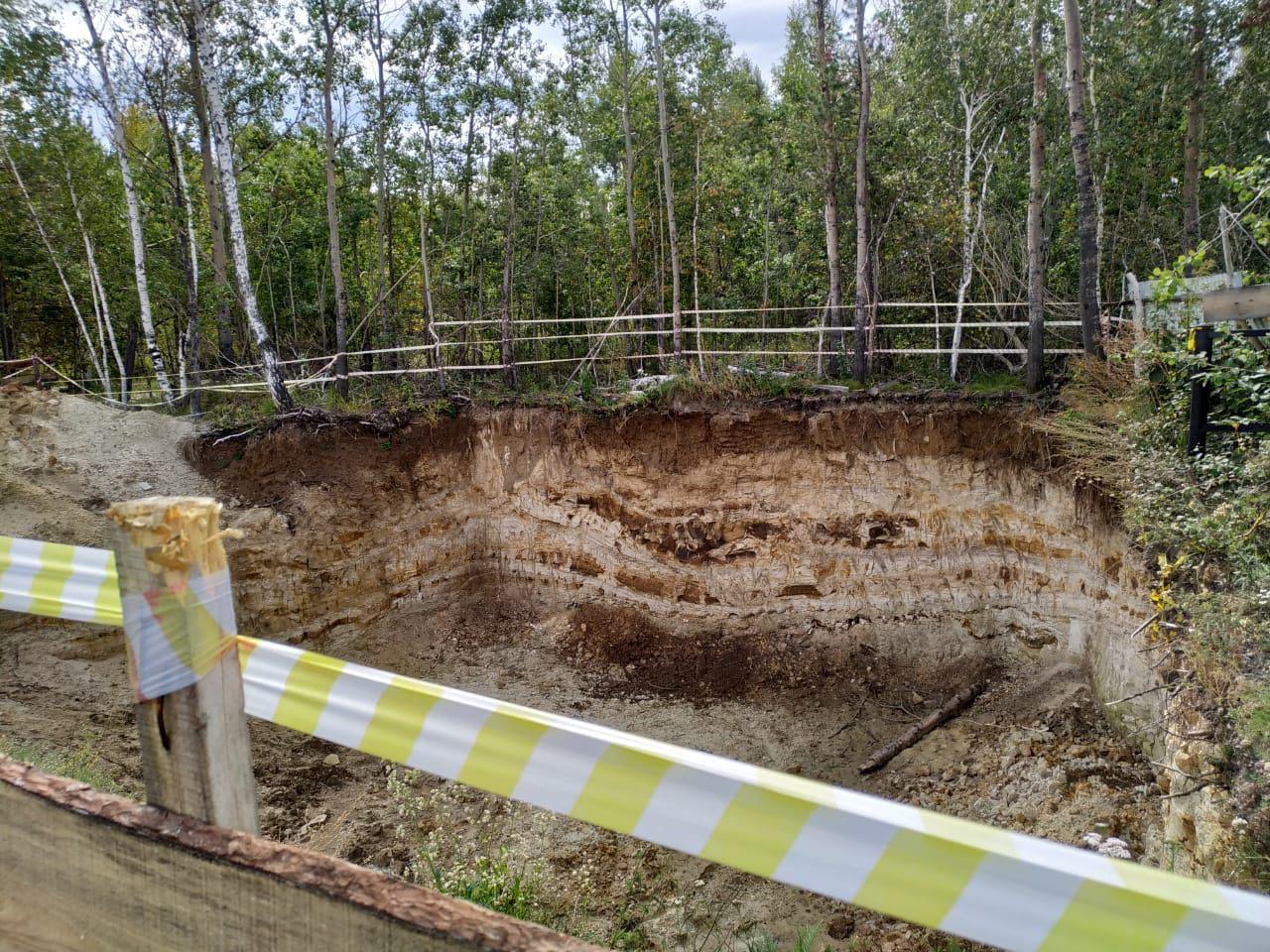 Уголовное дело возбуждено в отношении очередной фирмы, связанной с губернатором Левченко