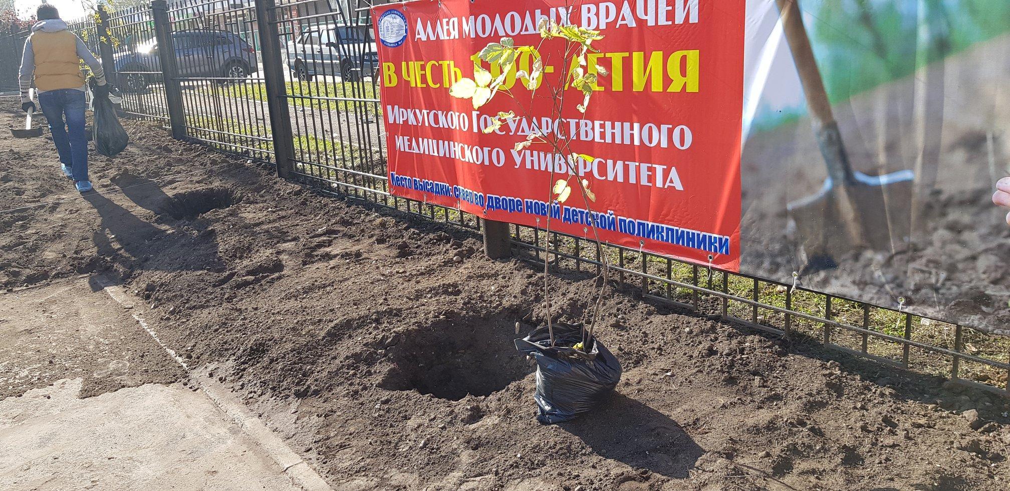 Аллею молодых врачей высадили в Иркутске