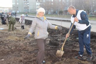 Более 50 деревьев высадили на Сталинградской аллее в Ангарске