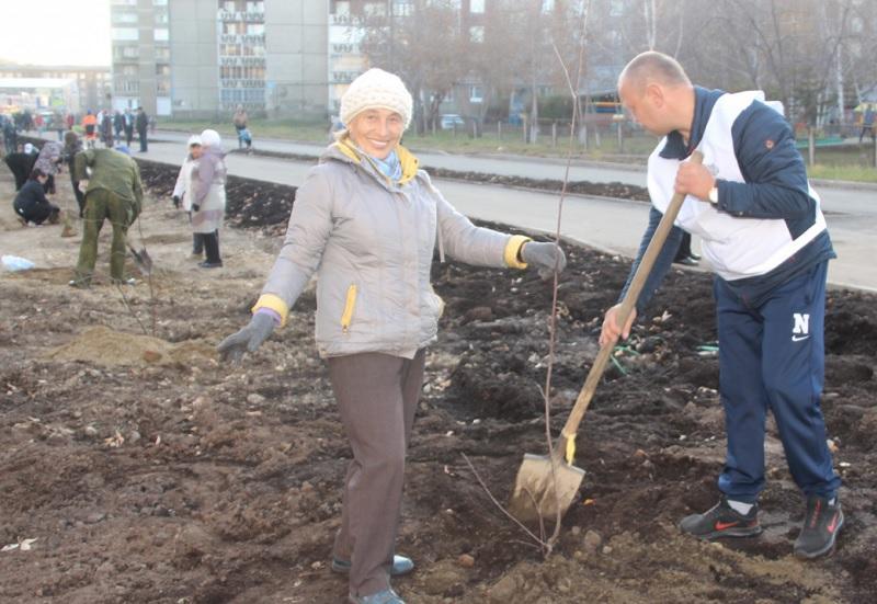 Более 50 деревьев высадили на Сталинградской аллее в Ангарске