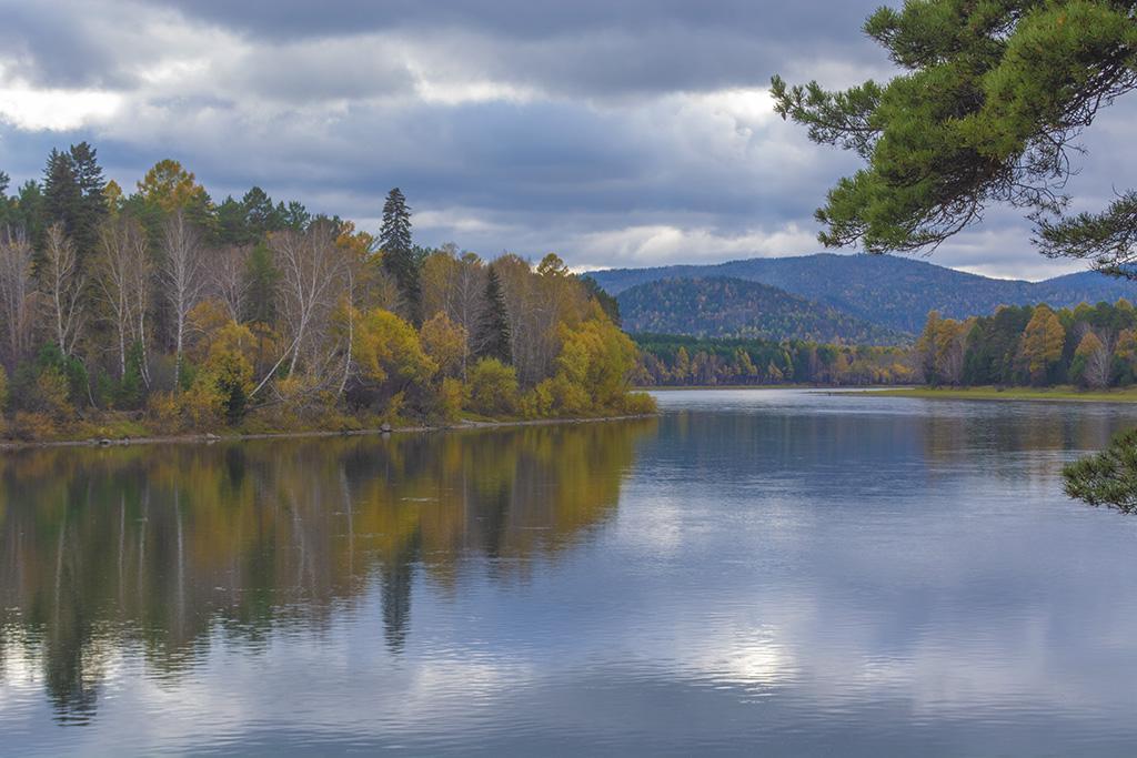 Хорошее за неделю
