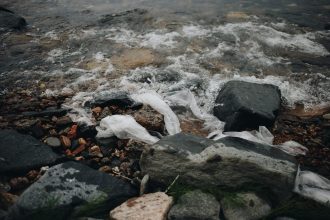 Роспотребнадзор и Greenpeace предлагают запретить пластиковые пакеты